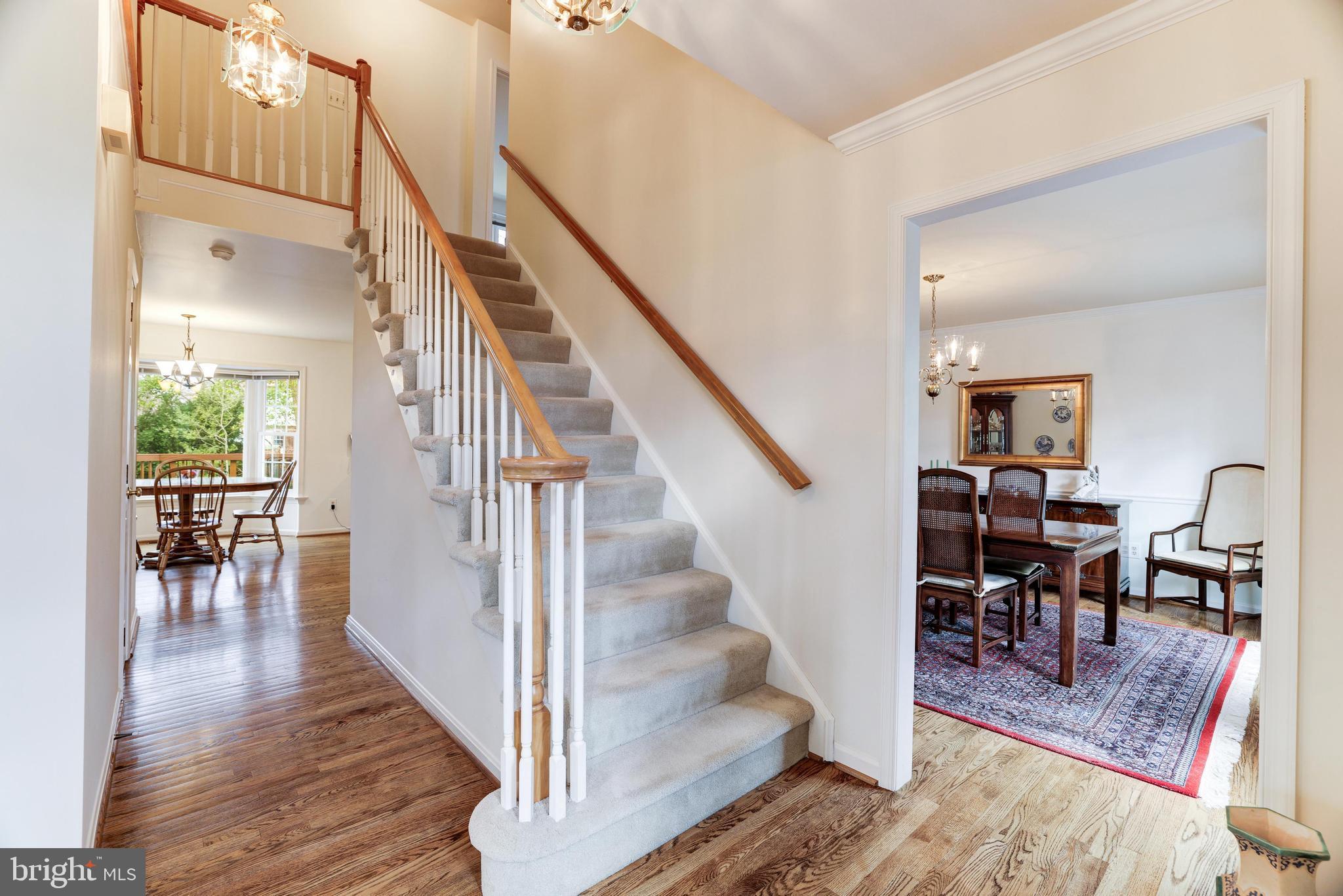 13221 Shady Ridge Lane Fairfax, VA 22033 - Photo 5 of 62 Carpeted Staircase to Upper Level