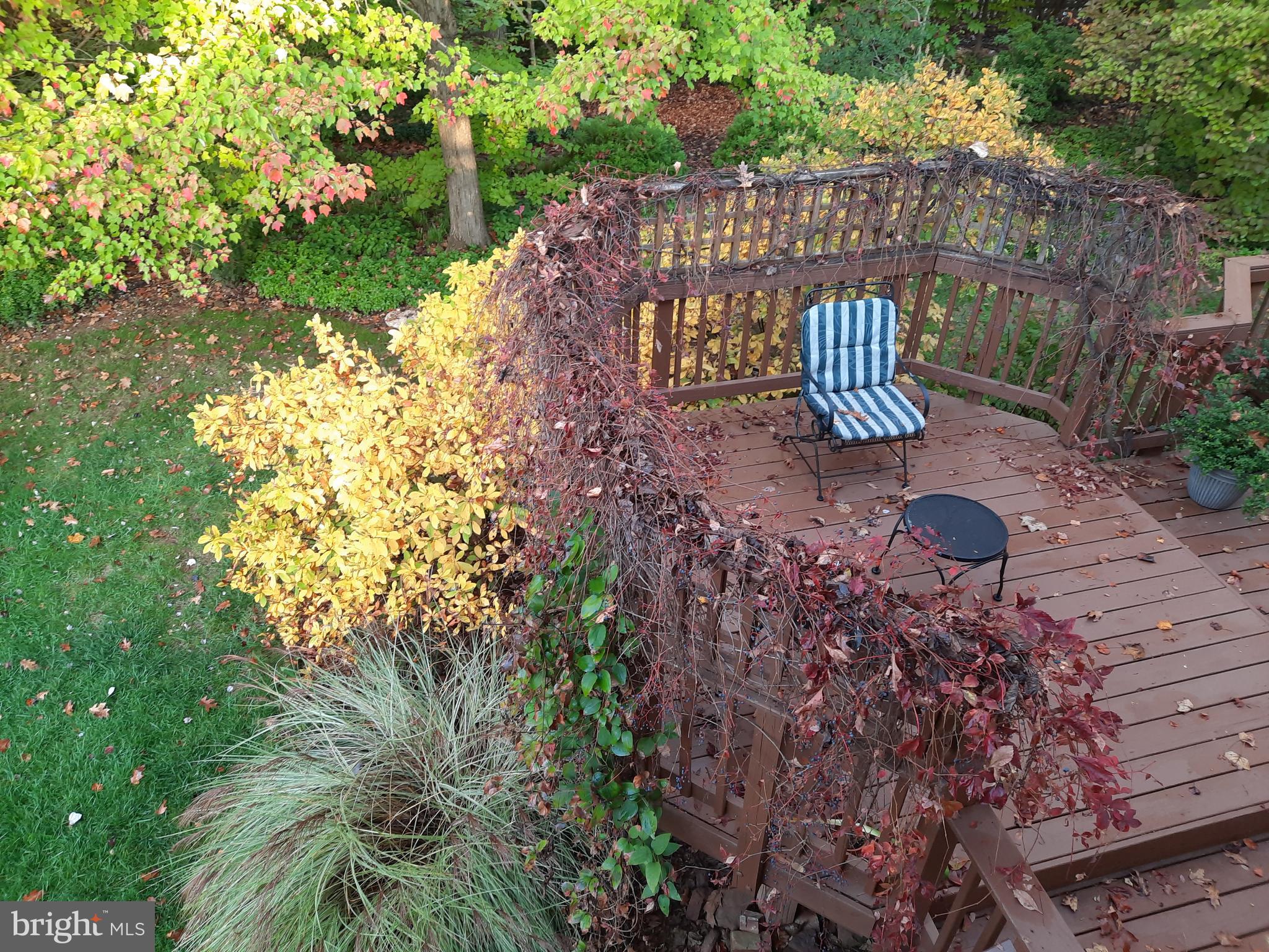 13221 Shady Ridge Lane Fairfax, VA 22033 - Photo 53 of 62 Yard View from Upper Level