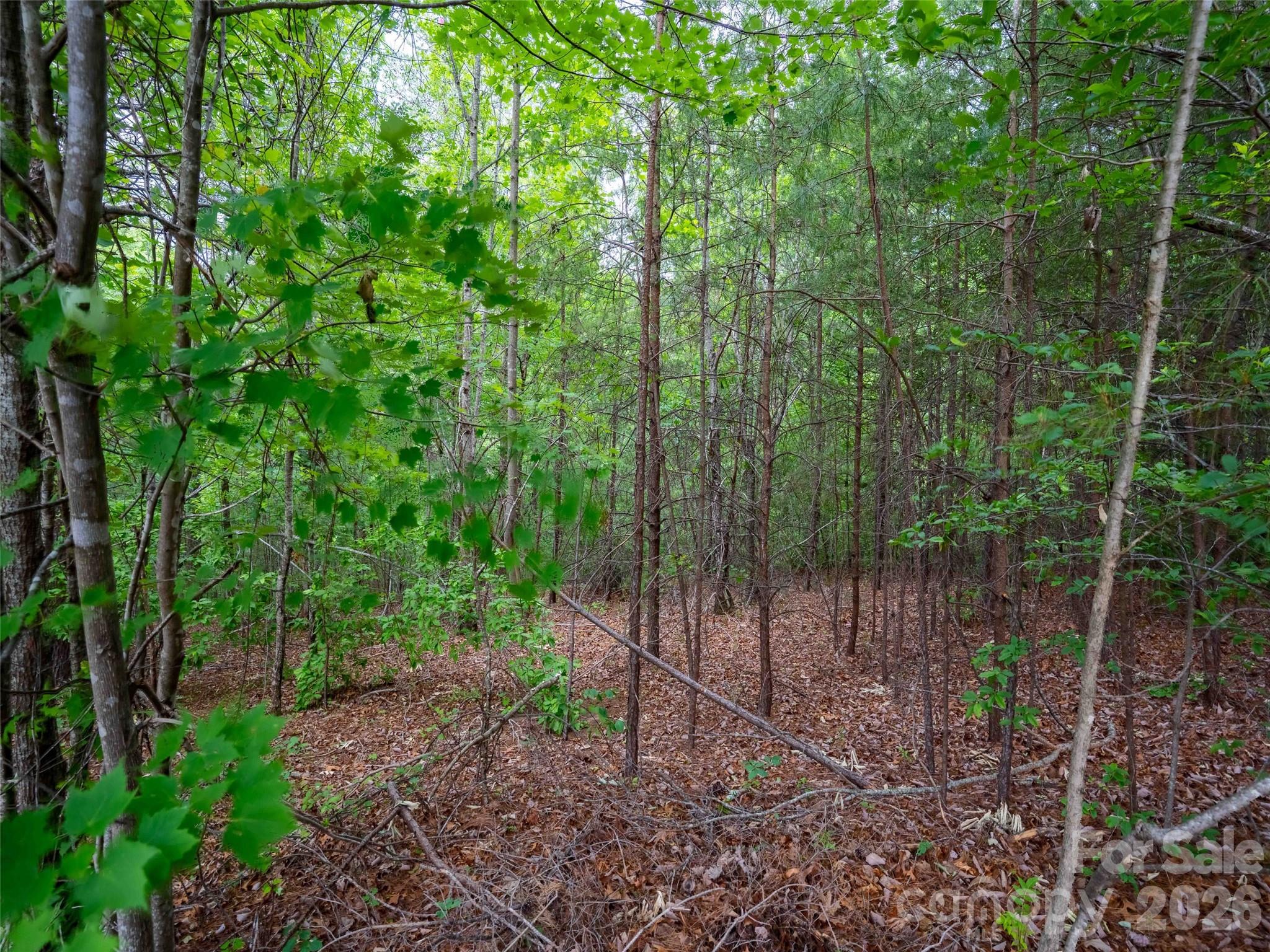 Lot 2009 Deep Gap Farm Rd Mill Spring West Mill Spring, NC 28756 - Photo 2 of 17