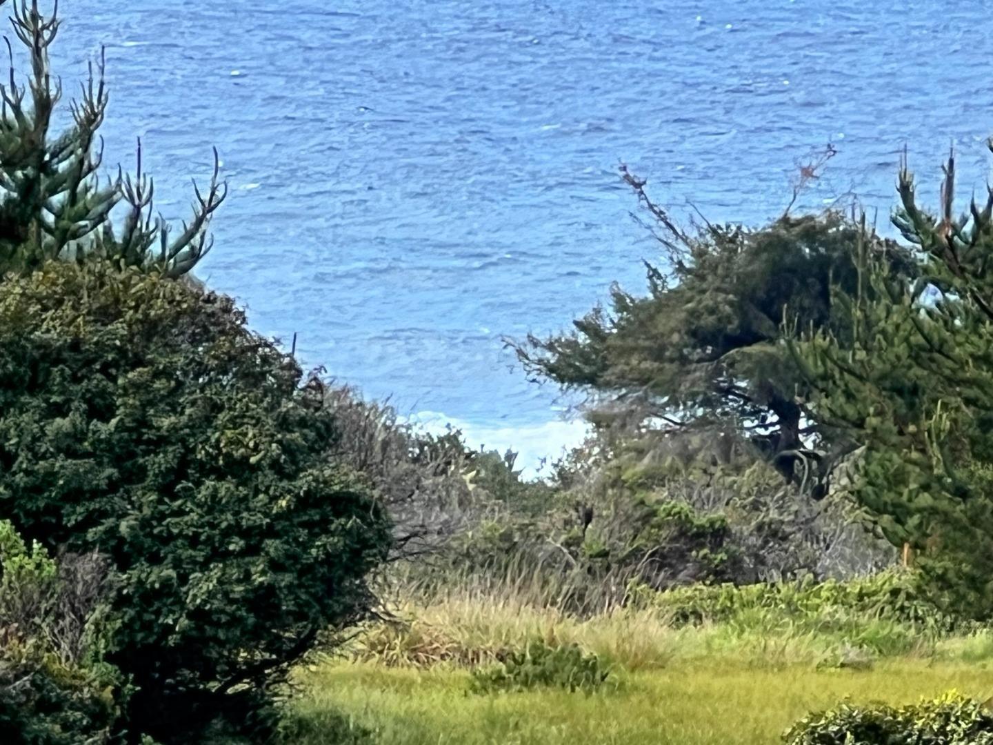 375 Spur Close The Sea Ranch, CA 95497 - Photo 3 of 16