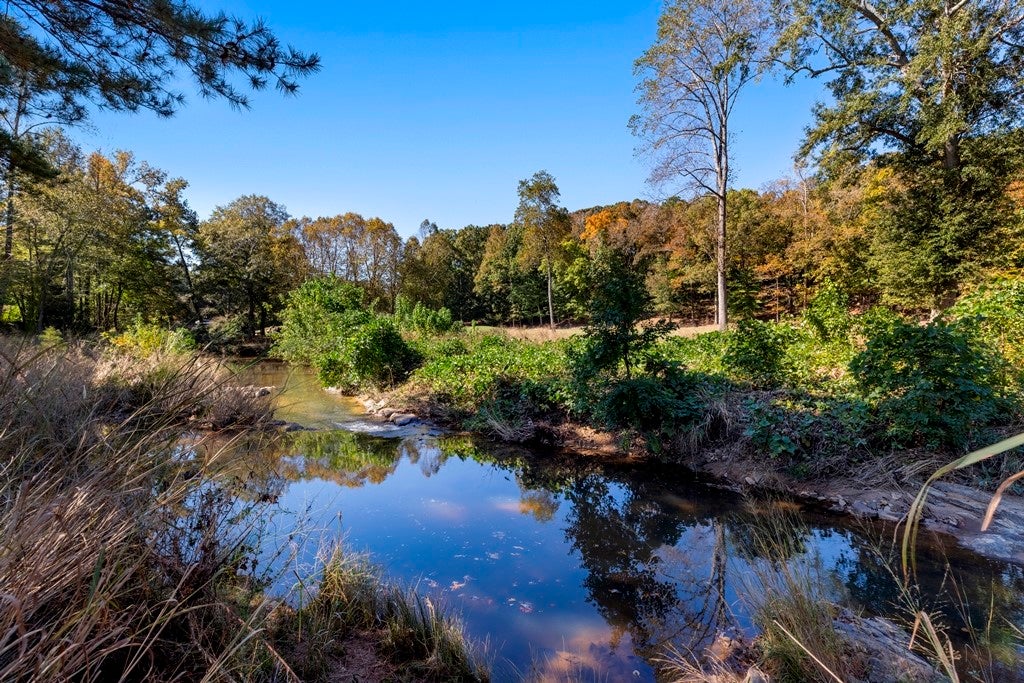 2051 Moores Mill Road, Unit E Auburn, AL 36830 - Photo 37 of 50 Gallery Image 37