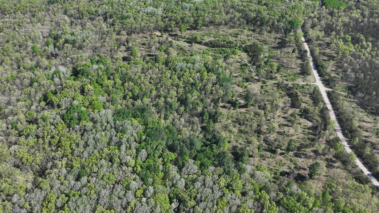 V/l West Hoague Road Manistee, MI 49660 - Photo 4 of 12