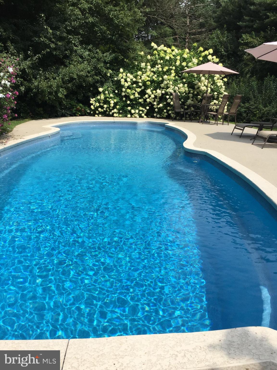 17 Highview Lane Yardley, PA 19067 - Photo 50 of 55 Inground Swimming Pool