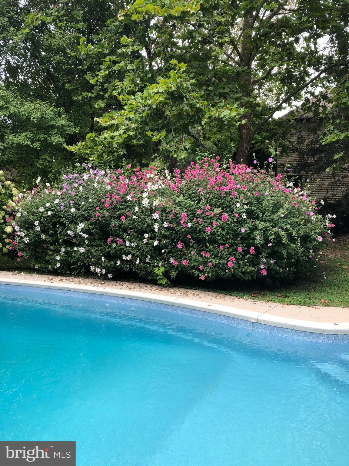 17 Highview Lane Yardley, PA 19067 - Photo 51 of 55