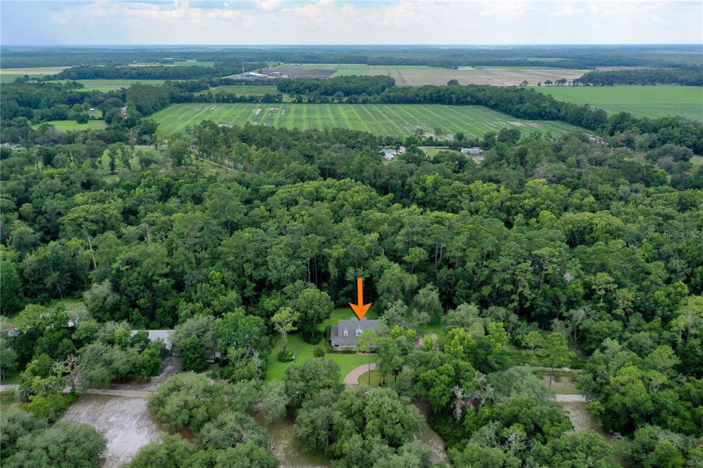 113 Kent Estate Road Elkton, FL 32033 - Photo 67 of 75 Gallery Image 67