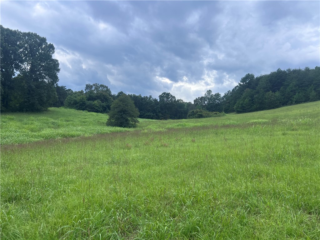 0 Cleveland Pike Road Westminster, SC 29693 - Photo 3 of 6 Gallery Image 3