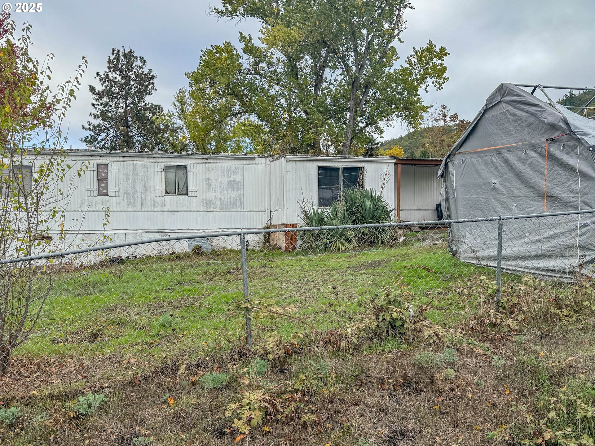301 Conrad Street Myrtle Creek, OR 97457 - Photo 12 of 12 a backyard of a house with lawn chairs plants and large tree