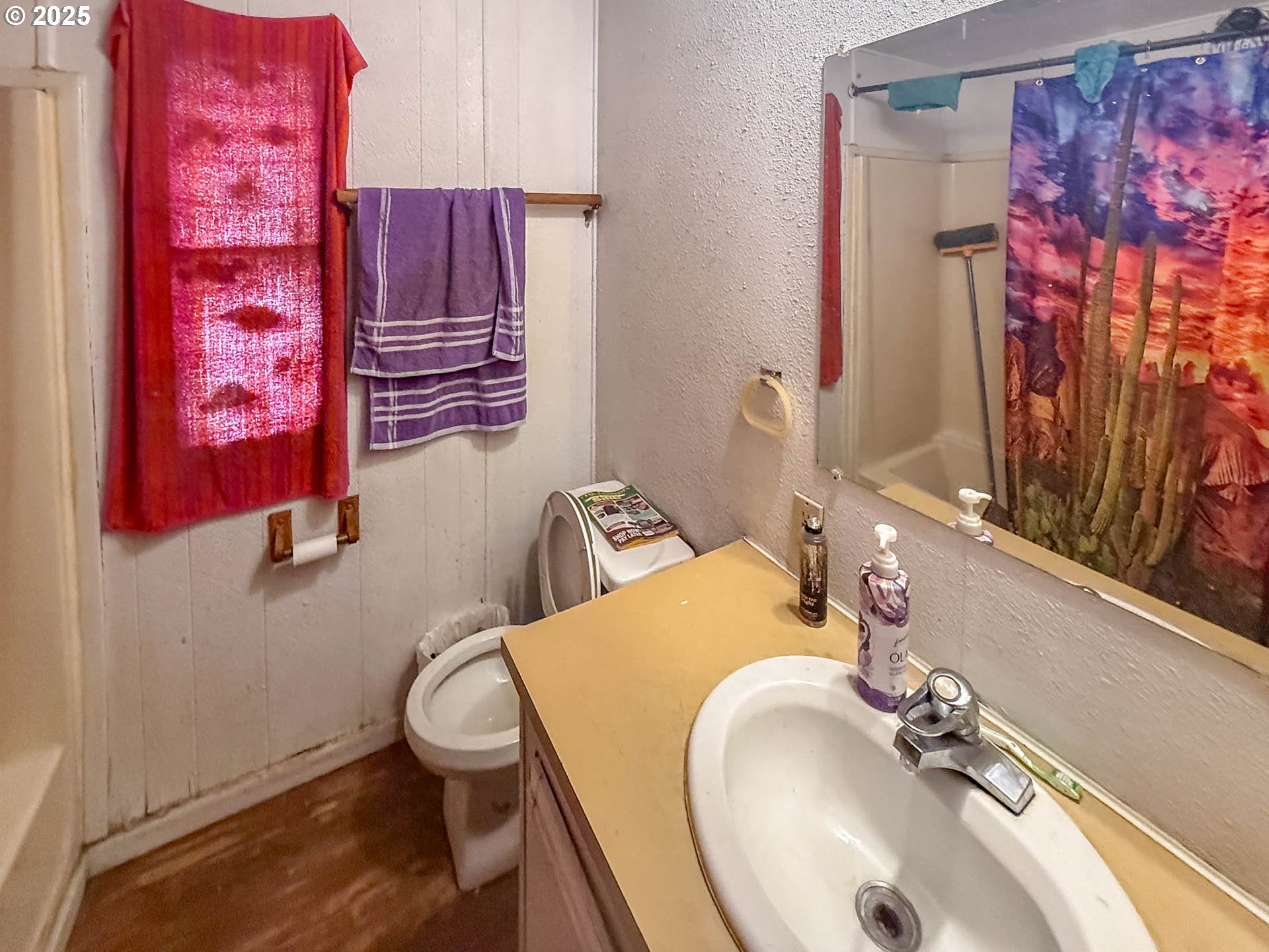 301 Conrad Street Myrtle Creek, OR 97457 - Photo 9 of 12 a bathroom with a sink toilet and mirror