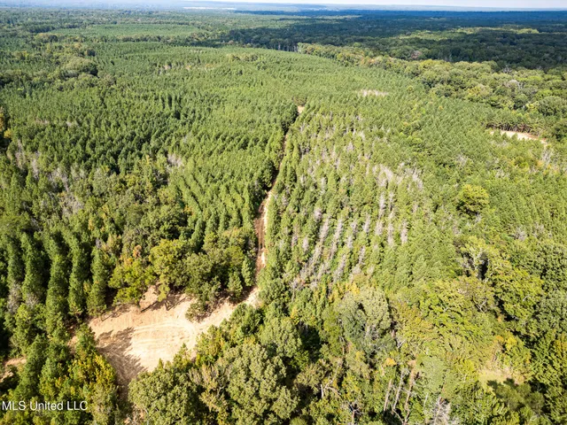 $1,100,000 | 3228 Highway 548, Hermanville, MS 39086