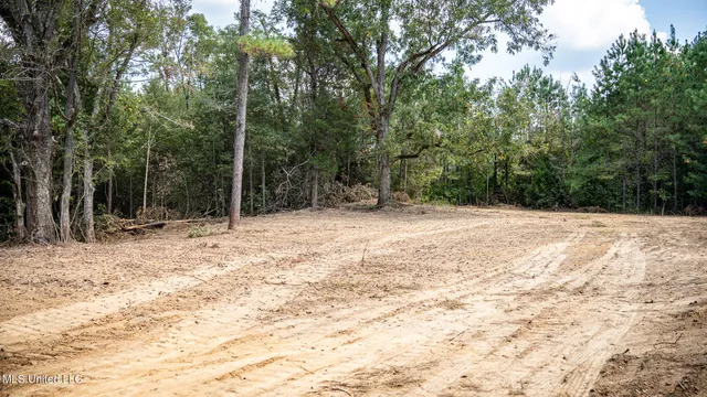 $1,100,000 | 3228 Highway 548, Hermanville, MS 39086