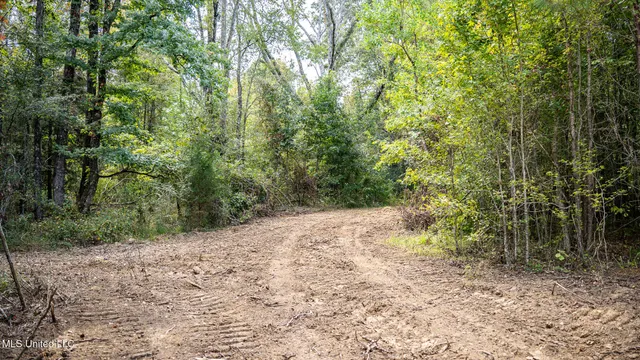 $1,100,000 | 3228 Highway 548, Hermanville, MS 39086