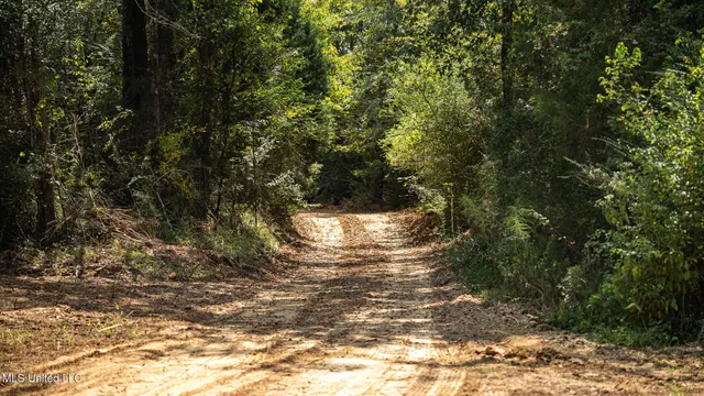 $1,100,000 | 3228 Highway 548, Hermanville, MS 39086