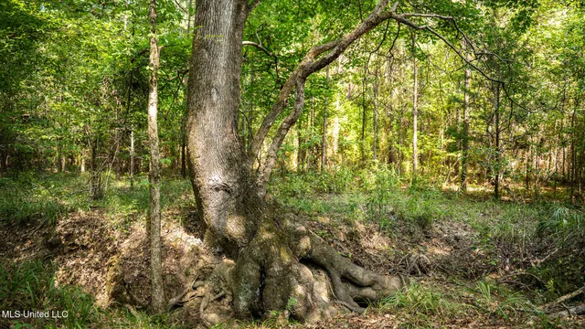 $1,100,000 | 3228 Highway 548, Hermanville, MS 39086