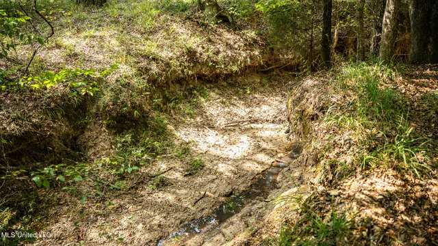 $1,100,000 | 3228 Highway 548, Hermanville, MS 39086