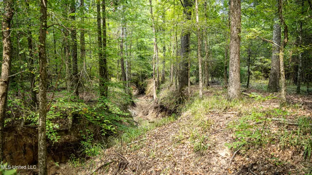 $1,100,000 | 3228 Highway 548, Hermanville, MS 39086