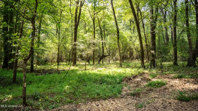 $1,100,000 | 3228 Highway 548, Hermanville, MS 39086