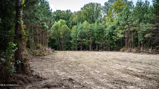 $1,100,000 | 3228 Highway 548, Hermanville, MS 39086