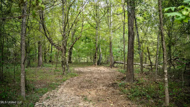 $1,100,000 | 3228 Highway 548, Hermanville, MS 39086