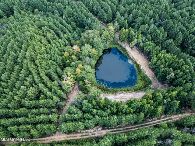 $1,100,000 | 3228 Highway 548, Hermanville, MS 39086