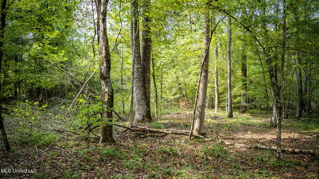 $1,100,000 | 3228 Highway 548, Hermanville, MS 39086