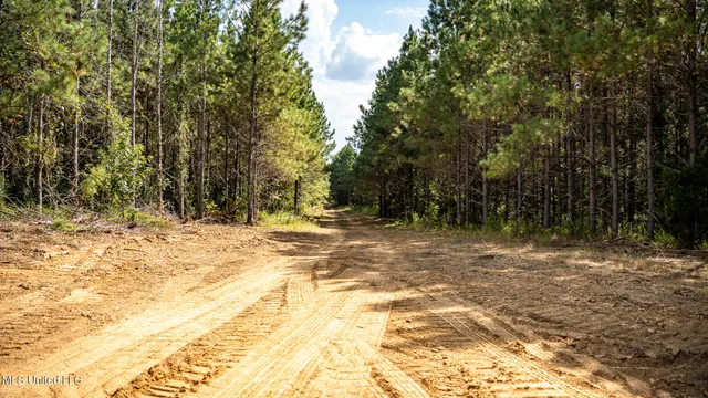 $1,100,000 | 3228 Highway 548, Hermanville, MS 39086