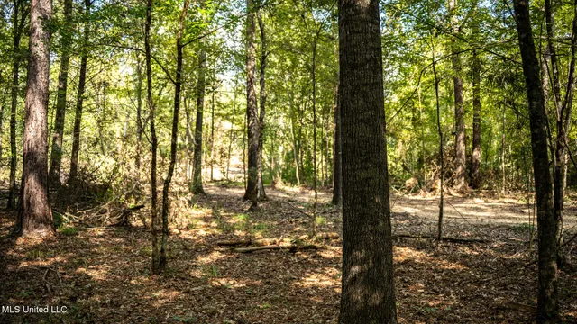 $1,100,000 | 3228 Highway 548, Hermanville, MS 39086