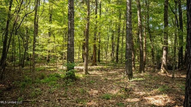 $1,100,000 | 3228 Highway 548, Hermanville, MS 39086