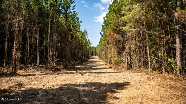 $1,100,000 | 3228 Highway 548, Hermanville, MS 39086