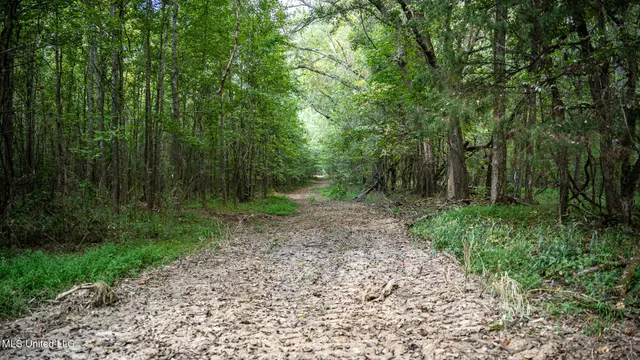 $1,100,000 | 3228 Highway 548, Hermanville, MS 39086
