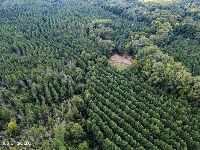 $1,100,000 | 3228 Highway 548, Hermanville, MS 39086