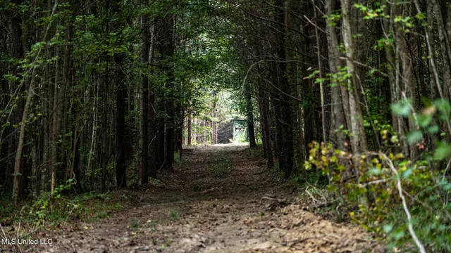 $1,100,000 | 3228 Highway 548, Hermanville, MS 39086