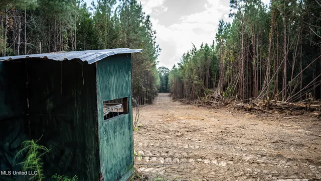 $1,100,000 | 3228 Highway 548, Hermanville, MS 39086