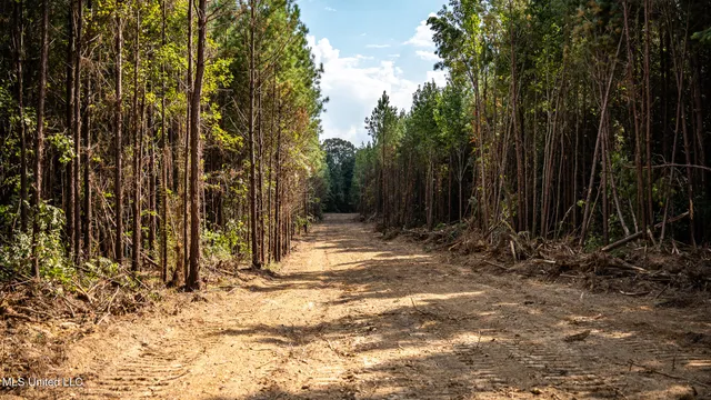 $1,100,000 | 3228 Highway 548, Hermanville, MS 39086