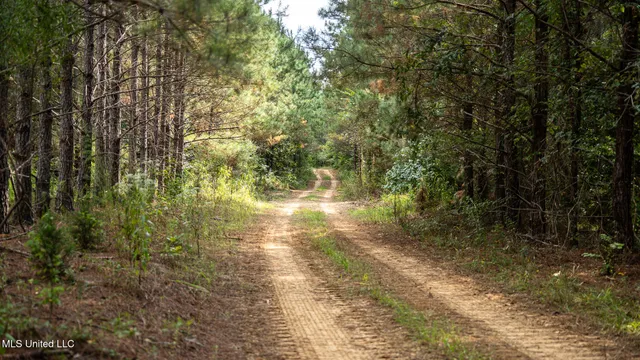 $1,100,000 | 3228 Highway 548, Hermanville, MS 39086
