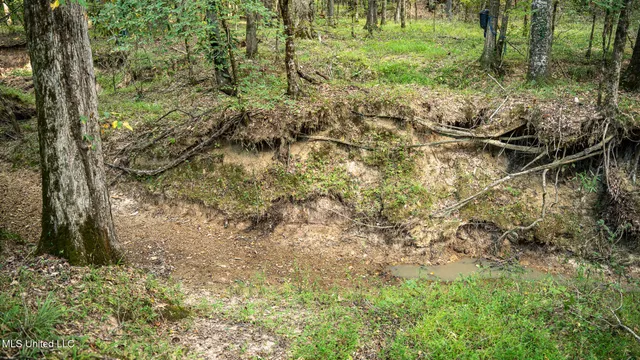 $1,100,000 | 3228 Highway 548, Hermanville, MS 39086