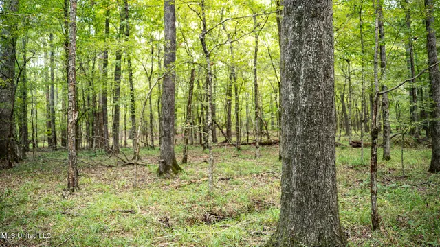 $1,100,000 | 3228 Highway 548, Hermanville, MS 39086