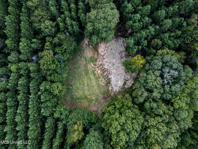 $1,100,000 | 3228 Highway 548, Hermanville, MS 39086