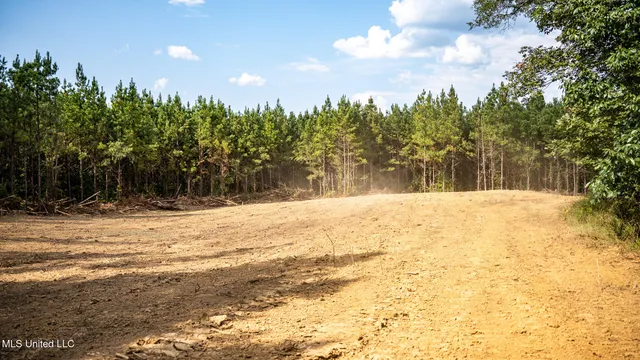 $1,100,000 | 3228 Highway 548, Hermanville, MS 39086