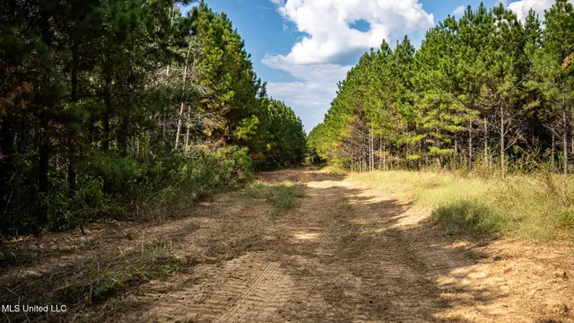 $1,100,000 | 3228 Highway 548, Hermanville, MS 39086