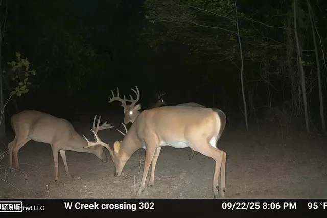 $1,100,000 | 3228 Highway 548, Hermanville, MS 39086