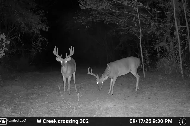 $1,100,000 | 3228 Highway 548, Hermanville, MS 39086