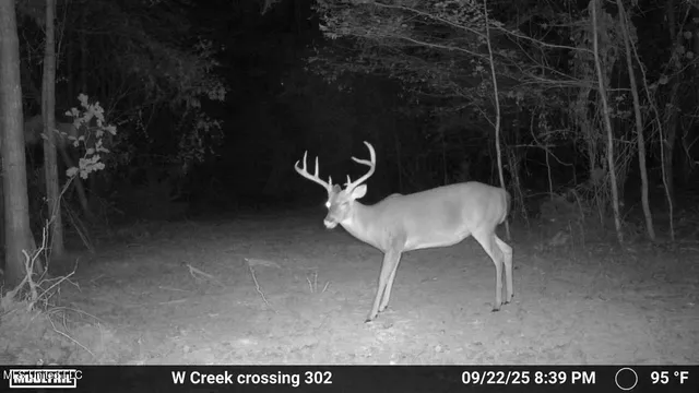 $1,100,000 | 3228 Highway 548, Hermanville, MS 39086