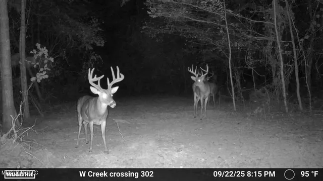 $1,100,000 | 3228 Highway 548, Hermanville, MS 39086