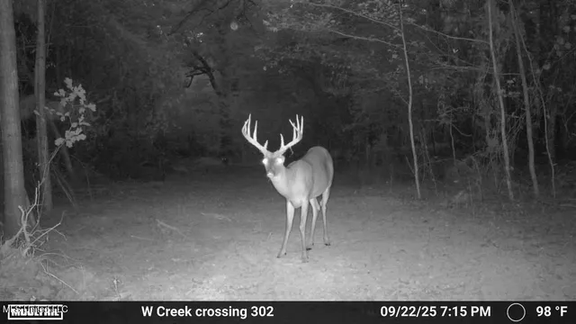 $1,100,000 | 3228 Highway 548, Hermanville, MS 39086