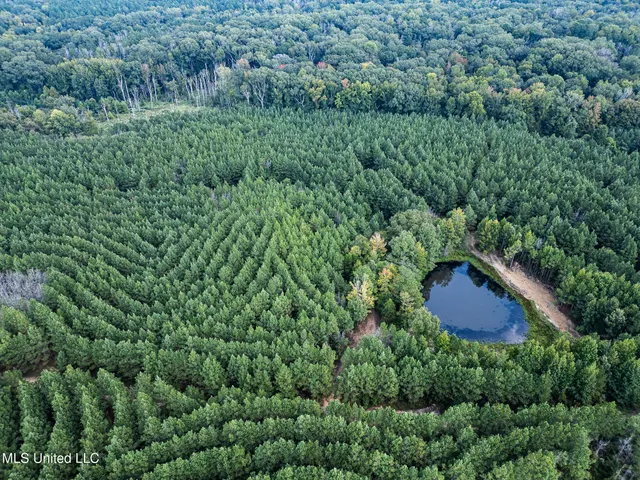 $1,100,000 | 3228 Highway 548, Hermanville, MS 39086