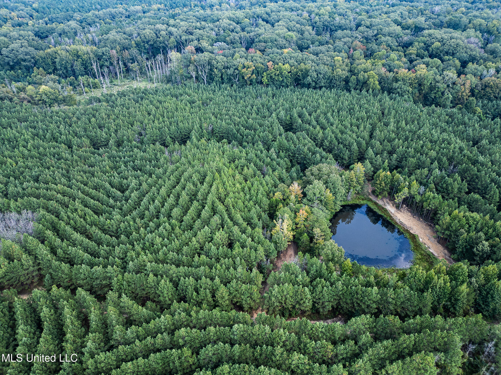 3228 Highway 548 Hermanville, MS 39086 - Photo 5 of 49 DJI_0684