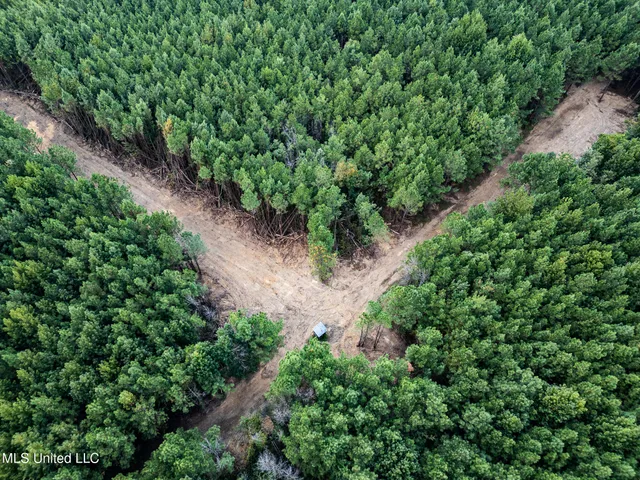 $1,100,000 | 3228 Highway 548, Hermanville, MS 39086