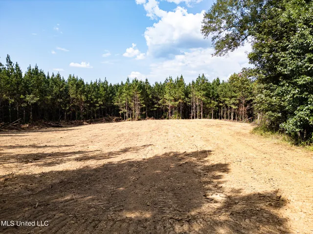 $1,100,000 | 3228 Highway 548, Hermanville, MS 39086