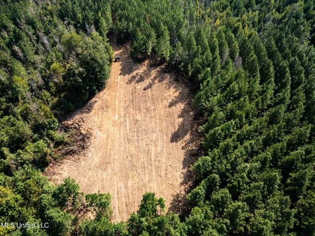 $1,100,000 | 3228 Highway 548, Hermanville, MS 39086