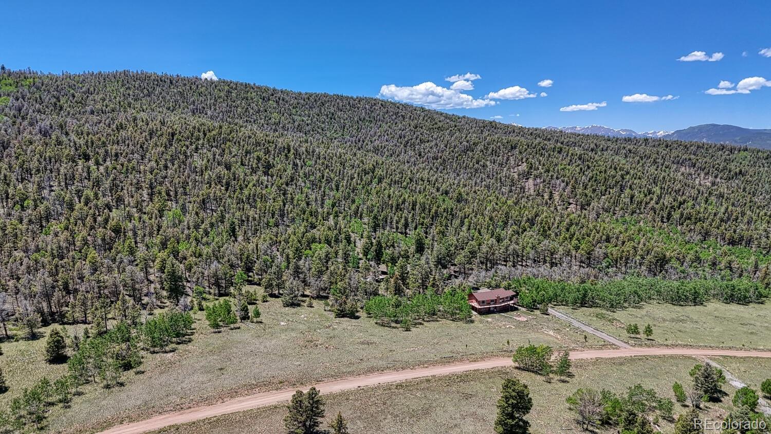 441 Kaufman Road Hartsel, CO 80449 - Photo 47 of 50 a view of a road with a yard